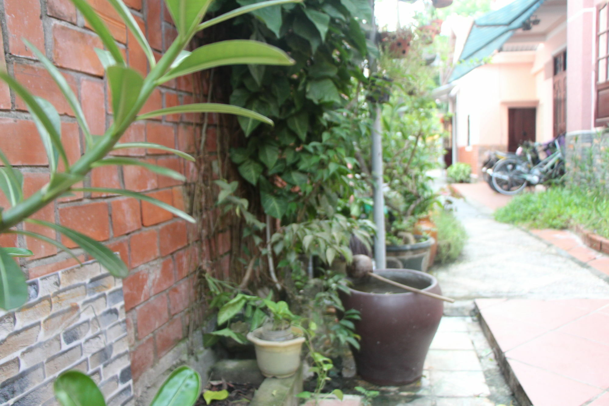 Red Ceramics Homestay Hoi An Eksteriør bilde