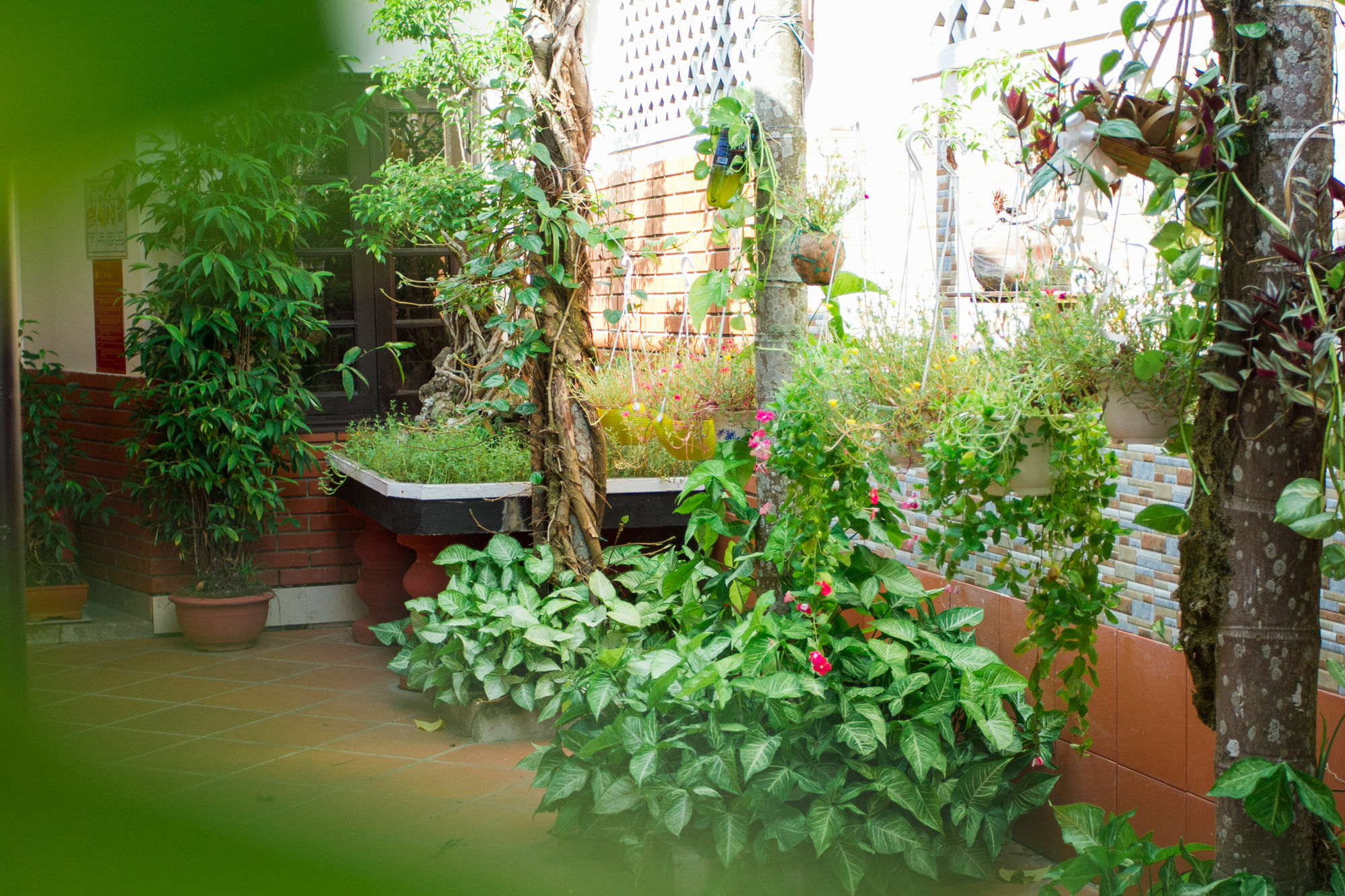 Red Ceramics Homestay Hoi An Eksteriør bilde
